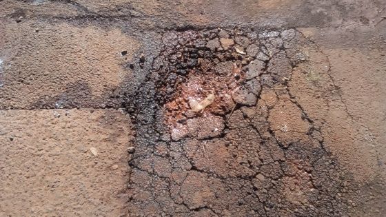 Une fuite d’eau toujours pas réparée après un mois