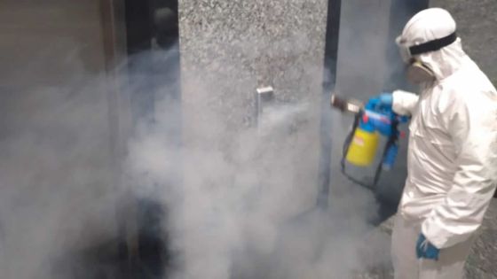 Services de fumigation : demandes en hausse
