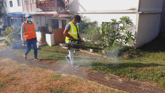 Santé : la dengue peut être fatale en cas de surinfection et de comorbidités 