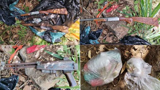 Beaux-Songes : trois armes à feu et des munitions retrouvées sur un terrain vague