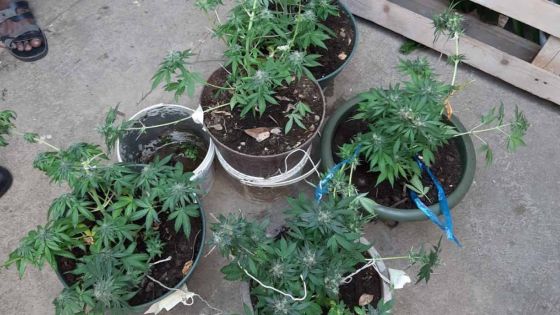 Gandia et bijoux – coup double pour la police de Goodlands