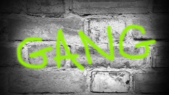 La guerre des gangs : des trafiquants qui dénoncent d’autres trafiquants… à la police