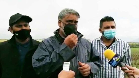 Agricultural Marketing Board : Maneesh Gobin en faveur d’une baisse du prix de stockage pour les planteurs