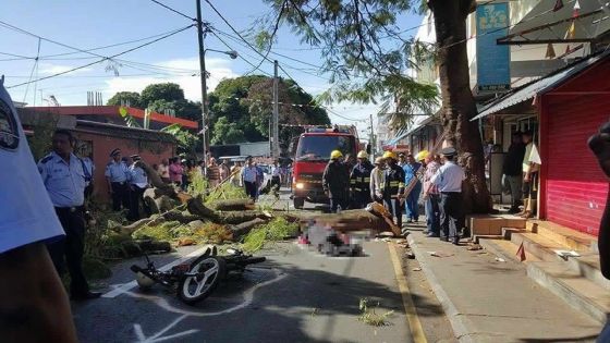 Il meurt écrasé sous une branche à Goodlands - Son épouse : «Nous sommes révoltés»