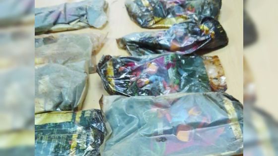 Special Striking Team : des saisies de drogues valant plus de Rs 600 M 