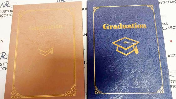 À l’aéroport de Plaisance : un Finlandais intercepté avec de l’héroïne dissimulée dans des porte-documents