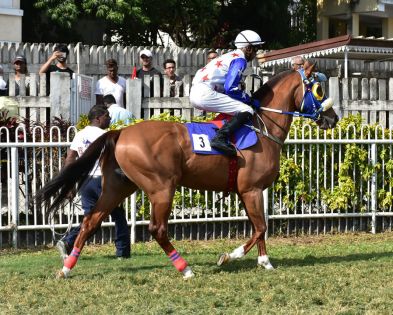  Maiden Cup : bras de fer Lafraisière/Sewdyal 