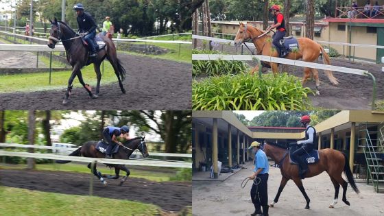Hippisme - Bonjour Floréal : les chevaux de Gujadhur sur la bonne voie