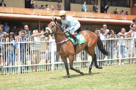 Hippisme : deux semaines de suspension pour le jockey Darryll Holland