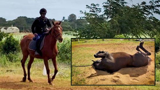 La vie douce des anciens héros des courses