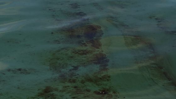 Poussée par le vent et les houles : la plaque d’hydrocarbure aperçue à Deux-Frères et Pointe-aux-Feuilles