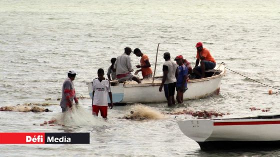 Conseil des ministres : le Fisheries Bill en préparation pour remplacer la Fisheries and Marine Act