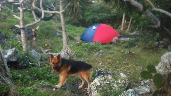 Assemblée nationale : le « trésor » découvert à Rodrigues au centre de la PNQ