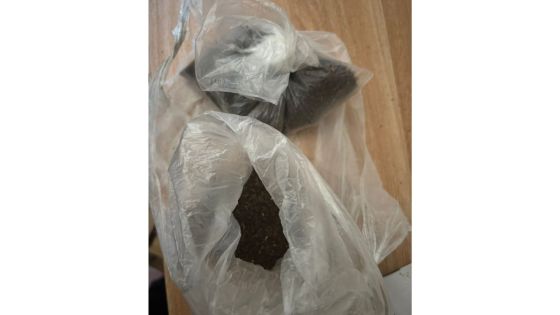 Saisie de drogue de synthèse estimée à Rs 1 million sur deux jeunes