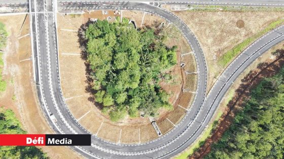 La Vigie : un camion percute des pylônes électriques, plusieurs blessés