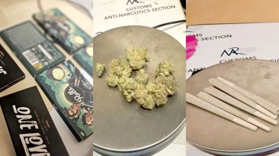 En provenance d’Afrique du Sud : une Mauricienne arrêtée avec de la drogue et du papier à rouler dans ses bagages