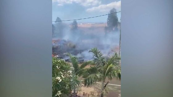 Incendie sur un terrain vague à Coromandel 