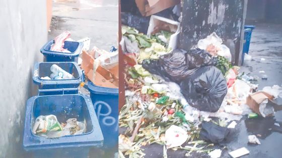 Infestation de rats, insalubrité… : Curepipe, entre modernisation et malaise urbain