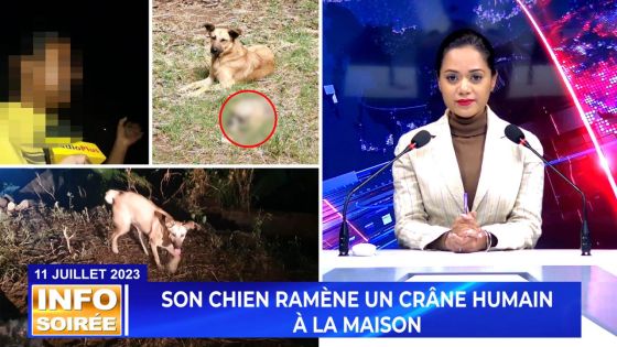 [Info Soirée] : «Mo swete aster fami kapav fer zot dey»