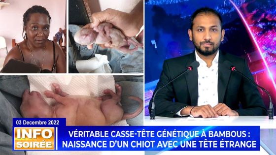 [Info Soirée] «Li pena zorey, li ena tromp me li pa ti pe kapav respire»