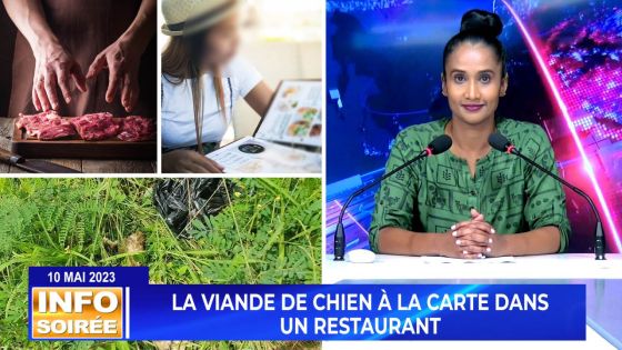 [Info Soirée] : «Travayer pe dir klian kontan spesialite toutou»