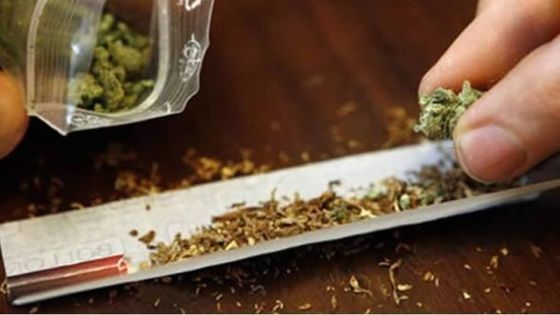 Lutte contre la drogue : un nouveau programme lancé