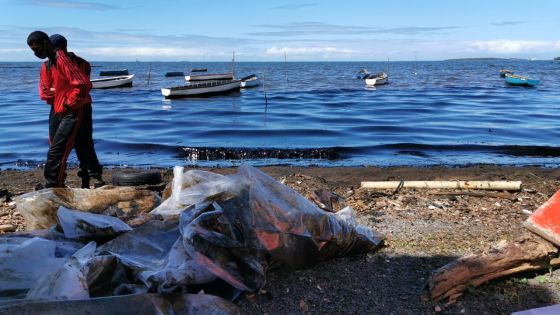 La marée noire dans les colonnes du prestigieux Washington Post