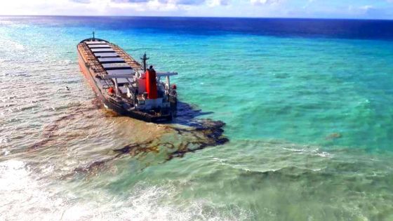 Wakashio : les membres d’équipage bientôt entendus par le CCID