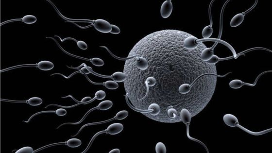 Père de neuf enfants après 35 ans de mariage, il apprend qu'il a toujours été stérile 