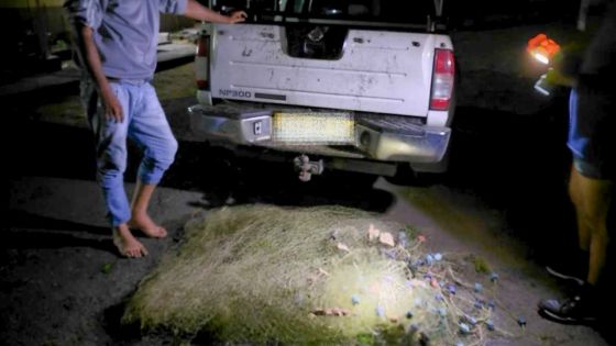 Pêche illégale : la traque continue