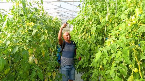 Vikesh Mohun : l’homme à la main verte