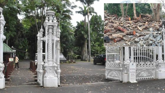 La rénovation du Jardin de Pamplemousses débutera fin novembre 