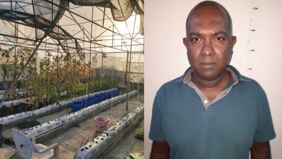 Culture de cannabis hydroponique : le policier Jeeneea était sous surveillance depuis trois semaines