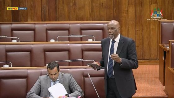 Débats budgétaires - Lesjongard à la Speaker : «I need your protection to be able to speak»