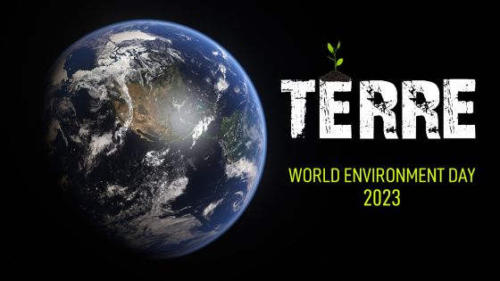 Pollution plastique : menace pesante, réponse urgente