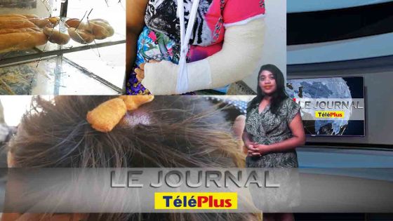 Le JT- Fourmis dans du pain – des boutiquiers attaqués par 30 personnes