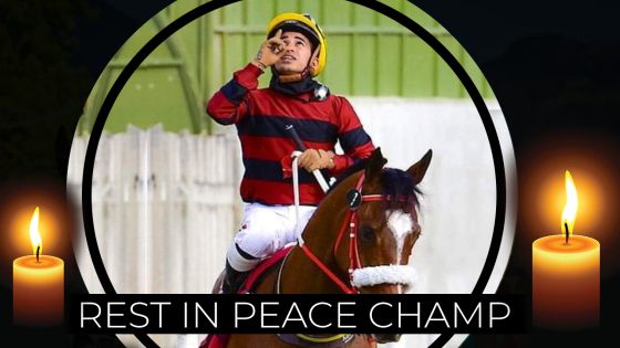 Hommage : Nooresh ou le champion qui galope parmi les anges