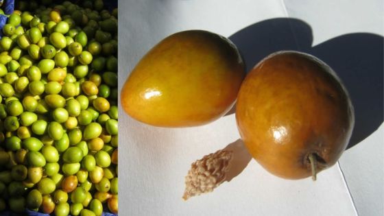 Un voleur de jujubes arrêté