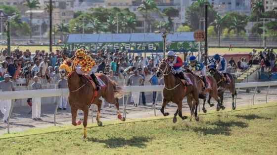 Hippisme - journée inaugurale : Juniper Lane a les cartes en main 