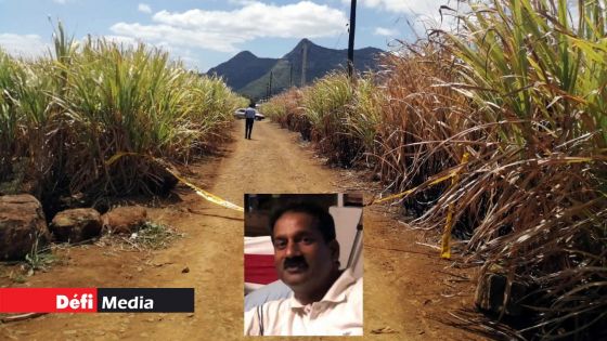 [Billet] Un noble complot 