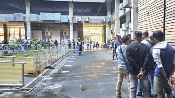 Suppression de la «registration duty» - Véhicules d’occasion : plus de 1 400 ventes en cinq jours