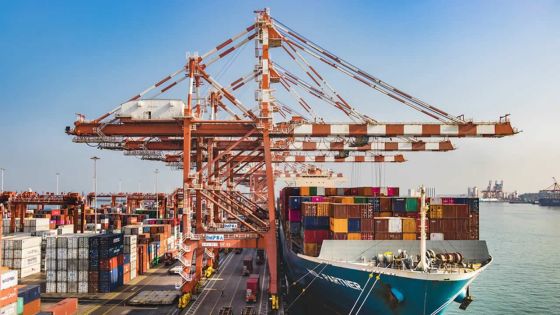 Port : les activités maritimes reprennent, à l’exception des croisières 