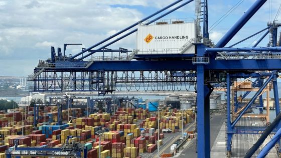 Hausse du fret : les importateurs tirent la sonnette d’alarme