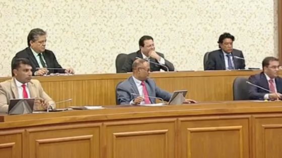  Coup de gueule : la farce parlementaire 