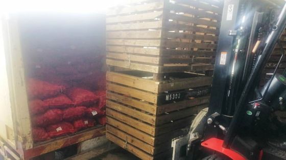 172 500 kg de légumes livrés ce vendredi