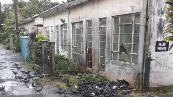 Vivre en bon voisinage à Maurice : utopie pour certains