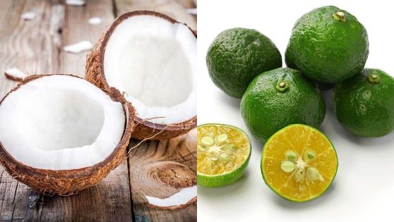 Cavadee et Maha Shivaratri : 10 000  noix de coco et 55 000 limons seront importés