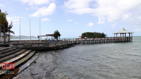 Mahébourg : un poissonnier verbalisé pour la vente de «Cornes» perforés