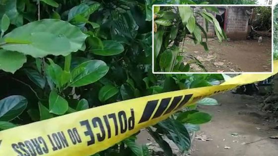 Lallmatie : soupçonné d’avoir frappé à mort son père, le fils de la victime nie les faits 