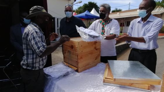 Bétails de Rodrigues : Le prix d’achat passe de Rs 85 à 105 le kilo